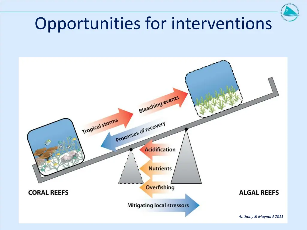opportunities for interventions