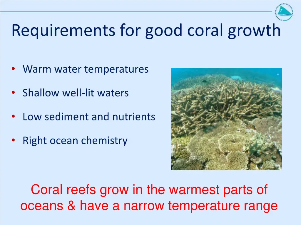 requirements for good coral growth