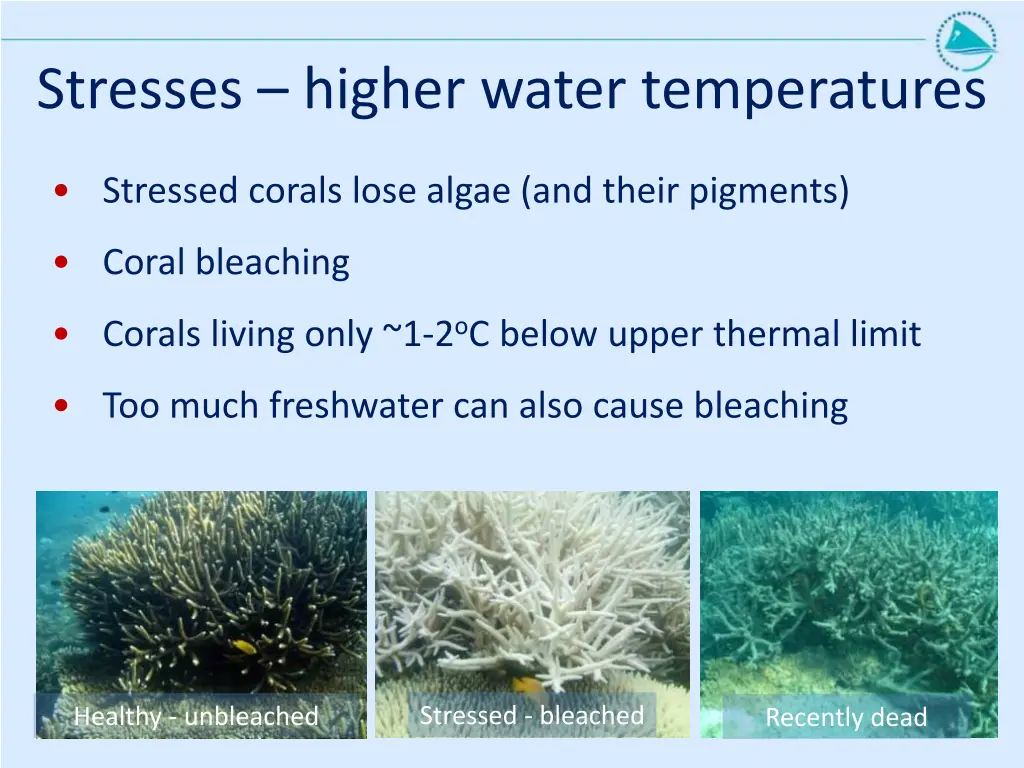 stresses higher water temperatures