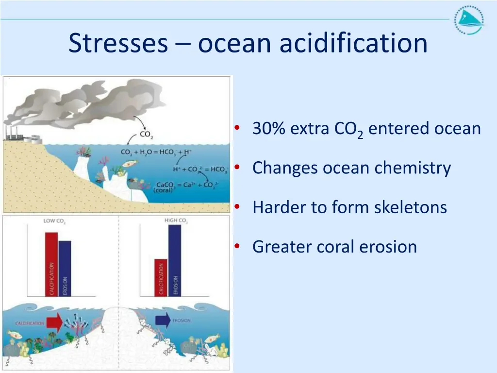 stresses ocean acidification