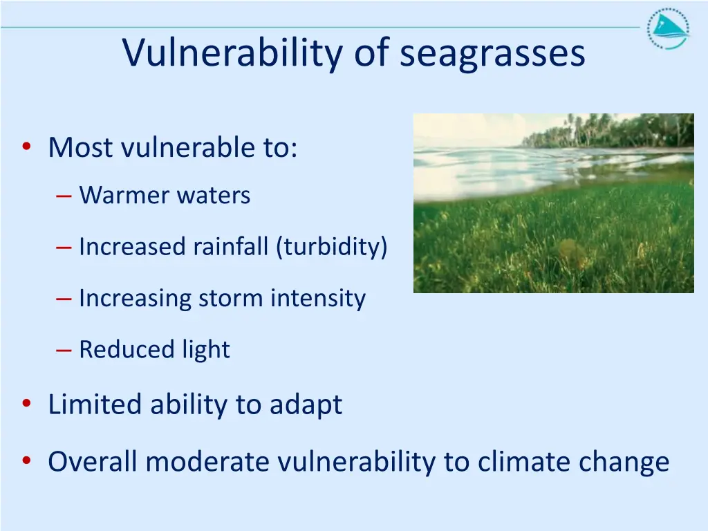 vulnerability of seagrasses