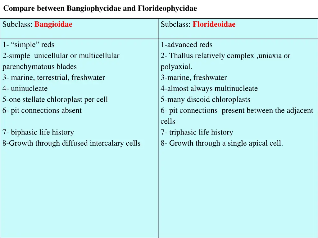 compare between bangiophycidae