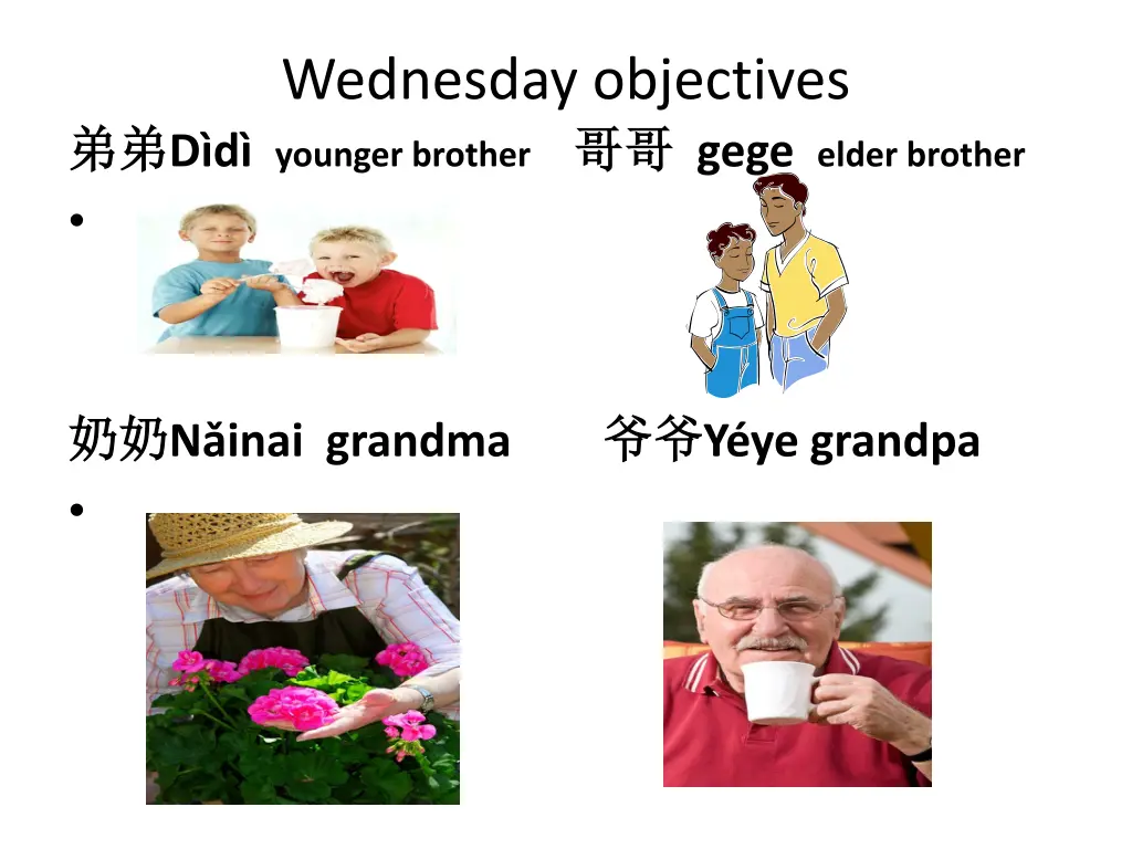 wednesday objectives d d younger brother