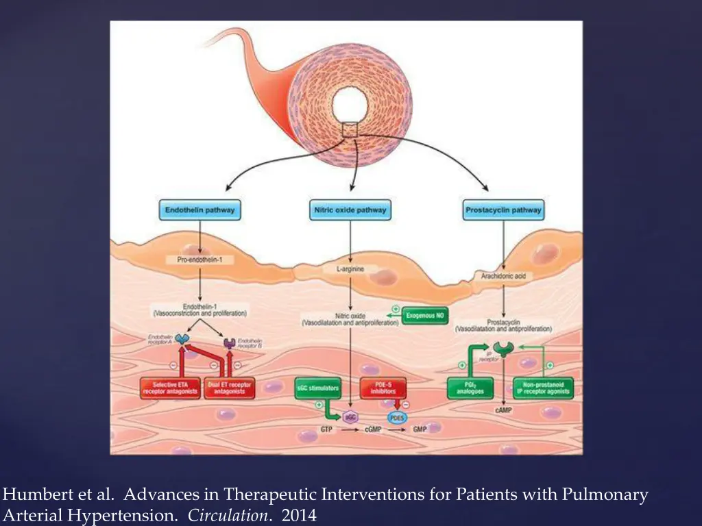 humbert et al advances in therapeutic