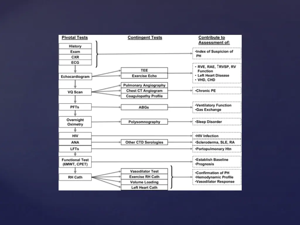 slide17