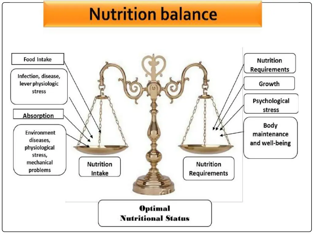 slide6