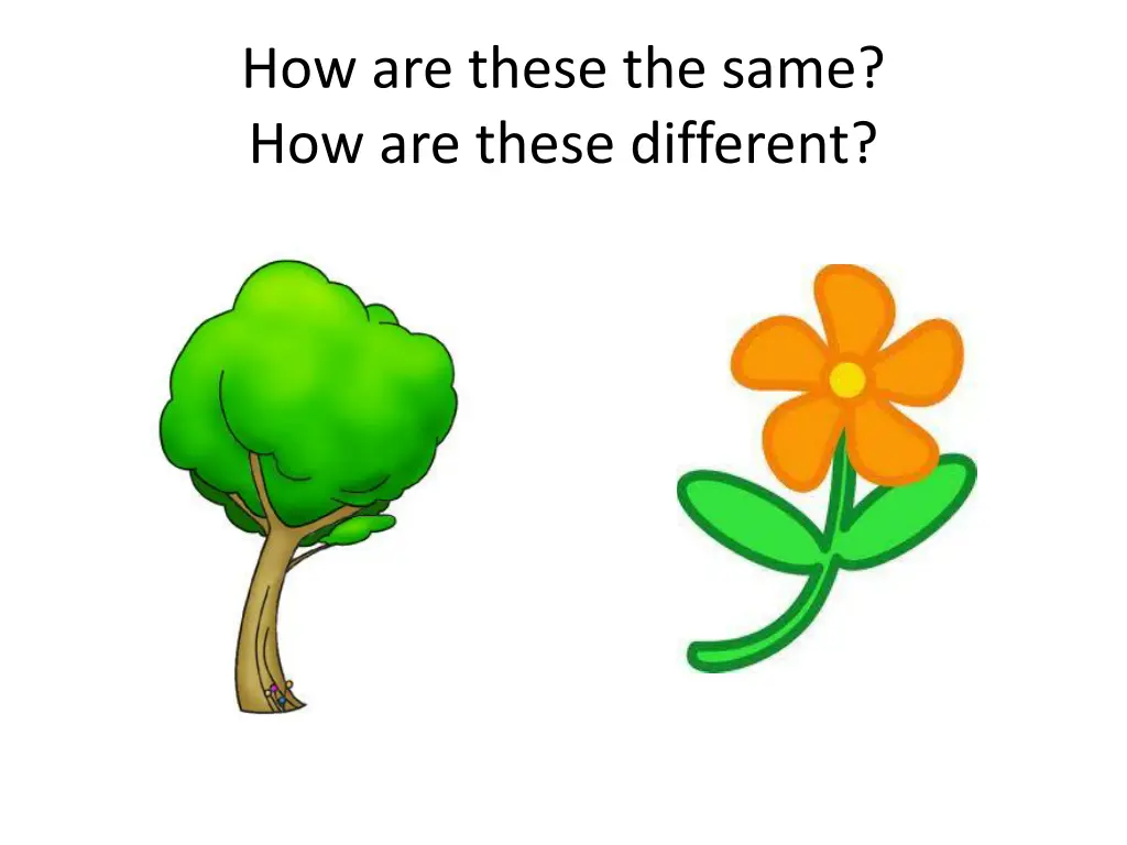 how are these the same how are these different 2