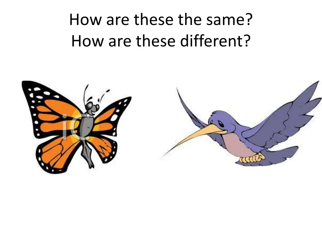 how are these the same how are these different 3