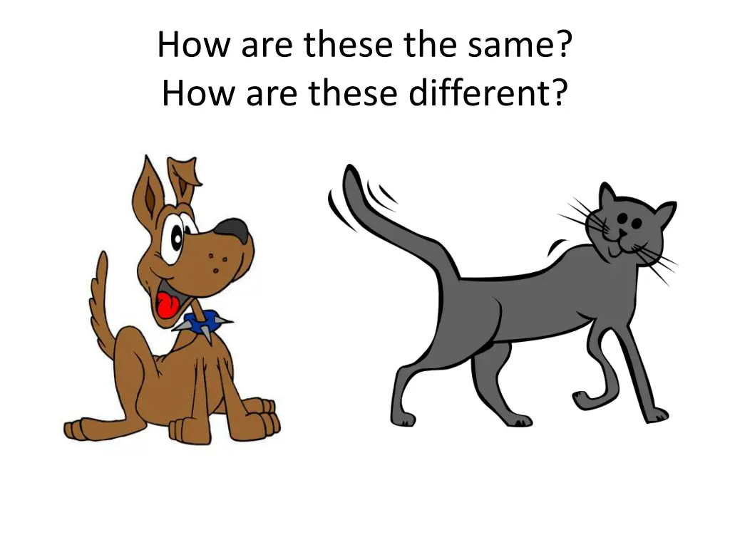 how are these the same how are these different 8