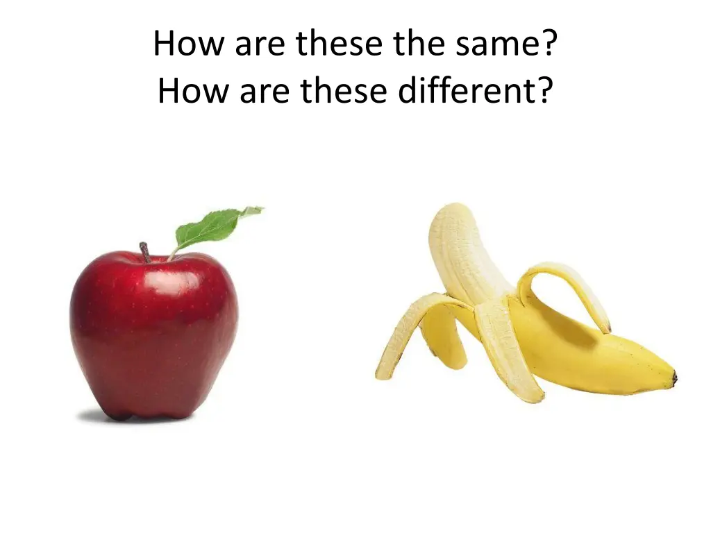 how are these the same how are these different