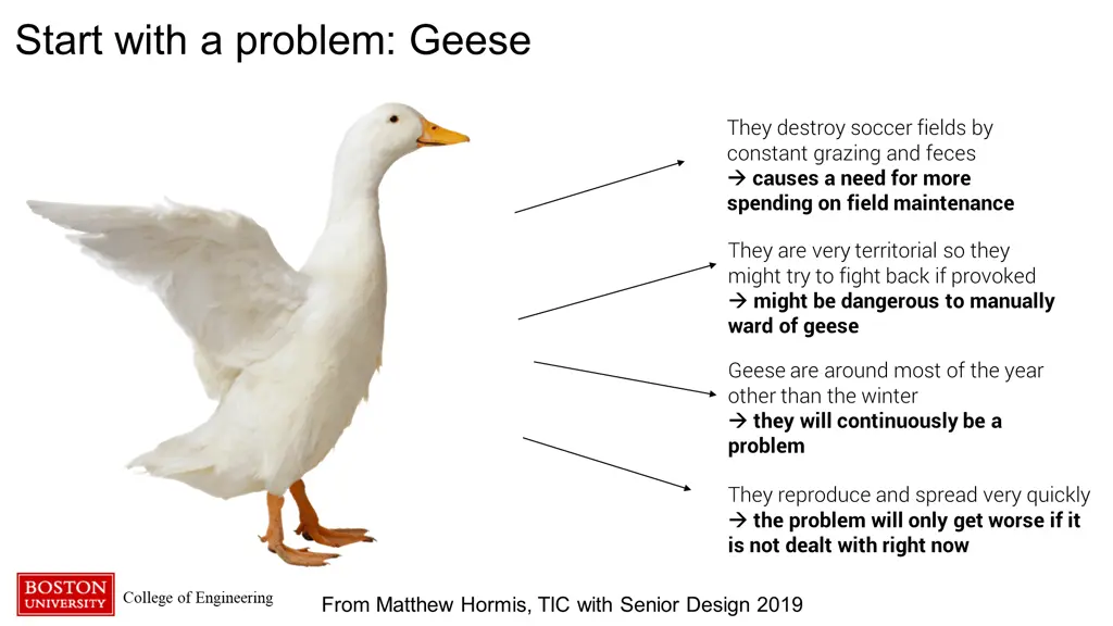 start with a problem geese