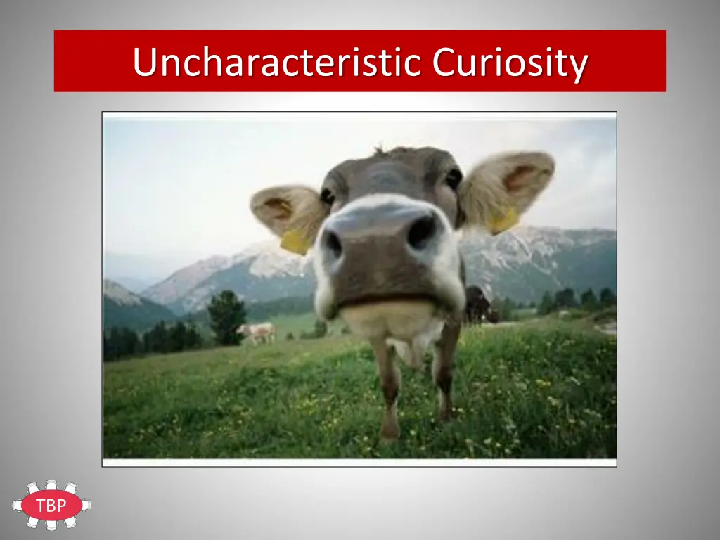 uncharacteristic curiosity