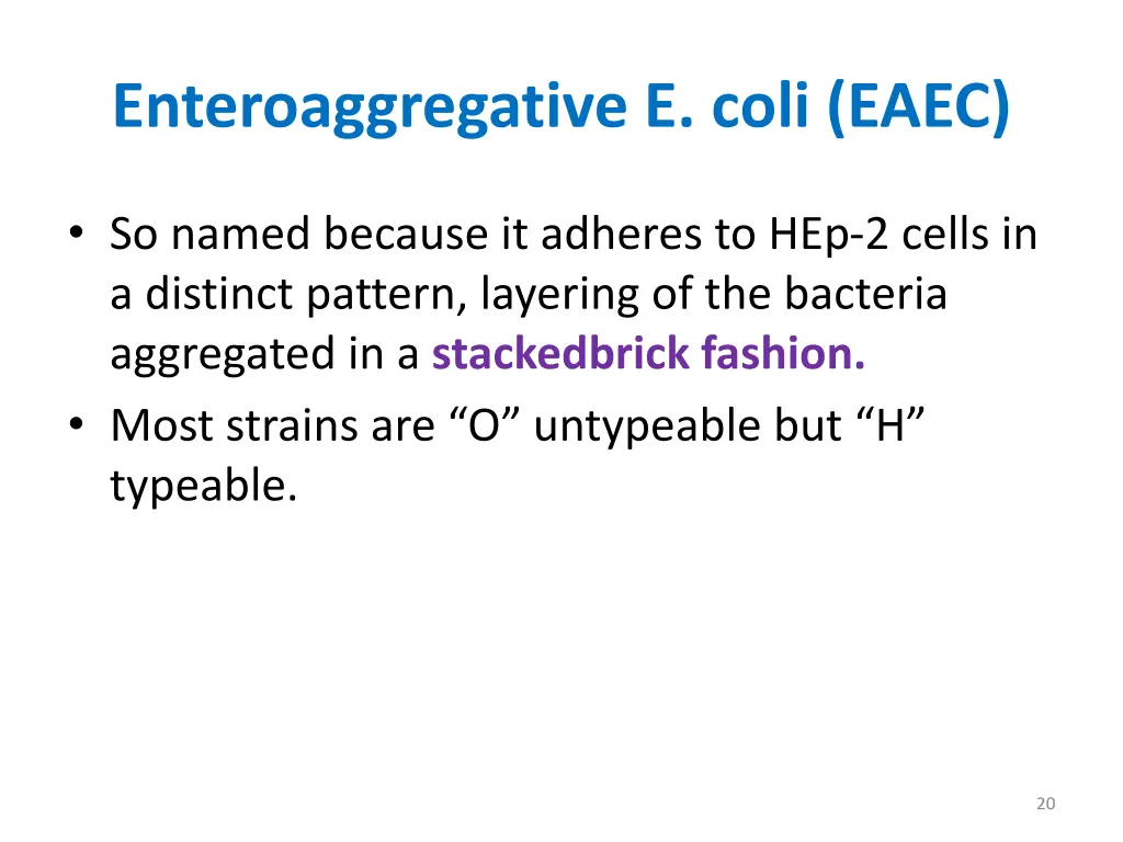 enteroaggregative e coli eaec