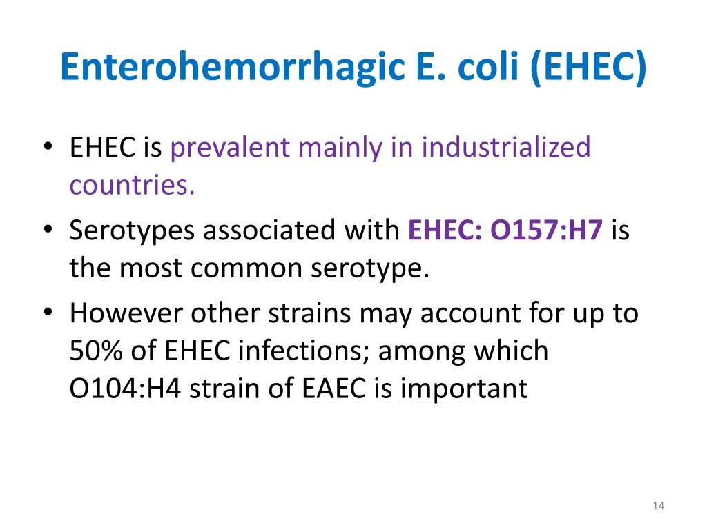 enterohemorrhagic e coli ehec