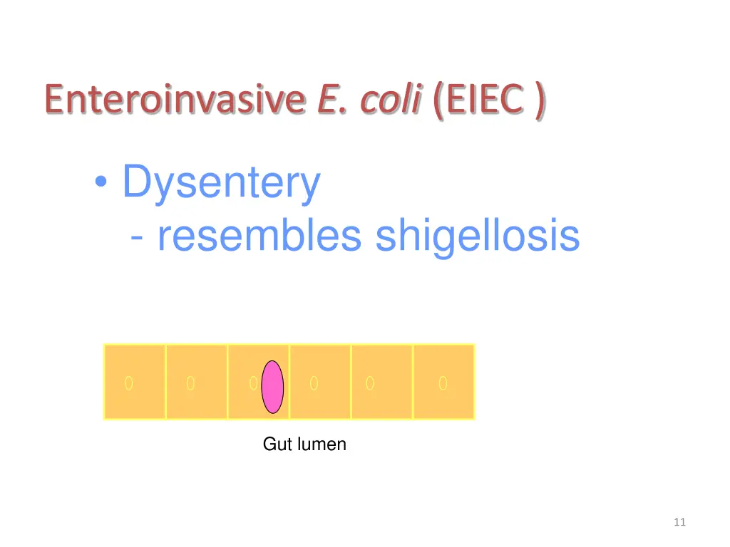 enteroinvasive e coli eiec 1