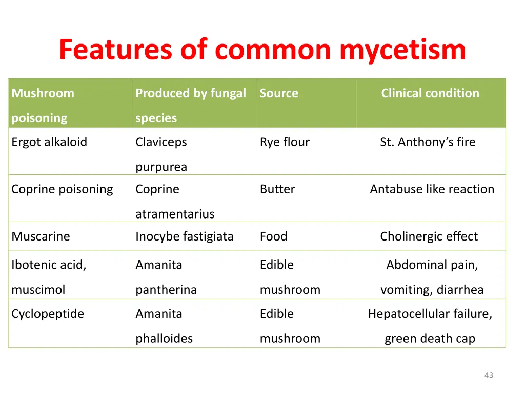 features of common mycetism