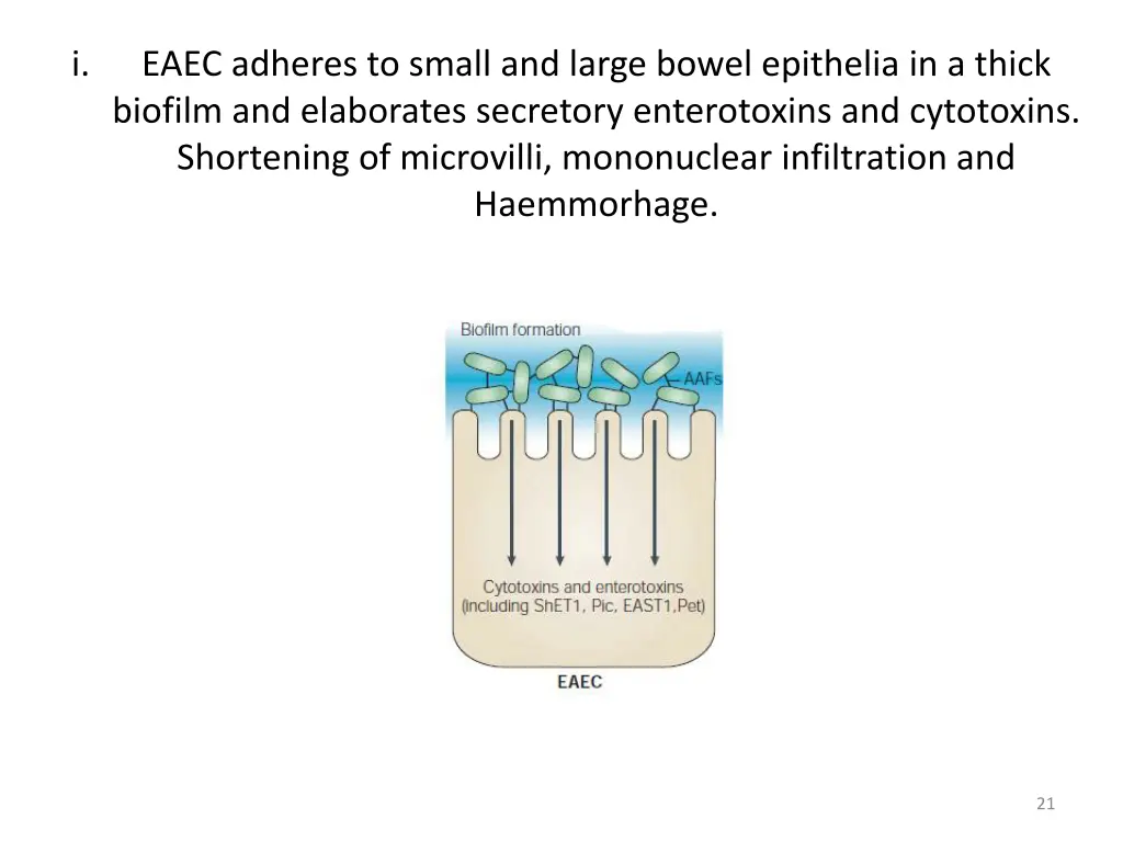 slide21