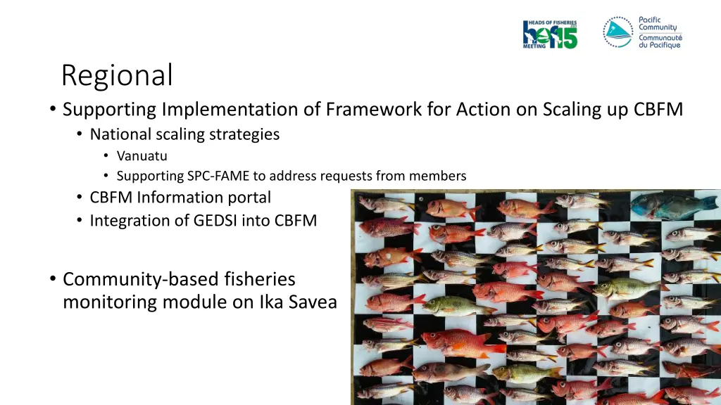 regional supporting implementation of framework