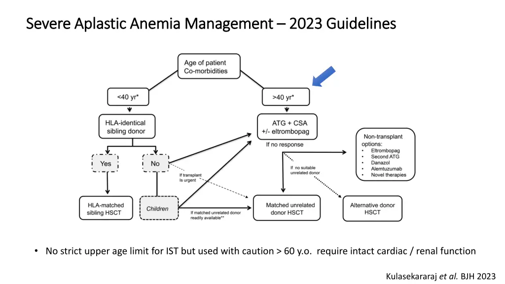 severe aplastic severe aplastic anemia 1