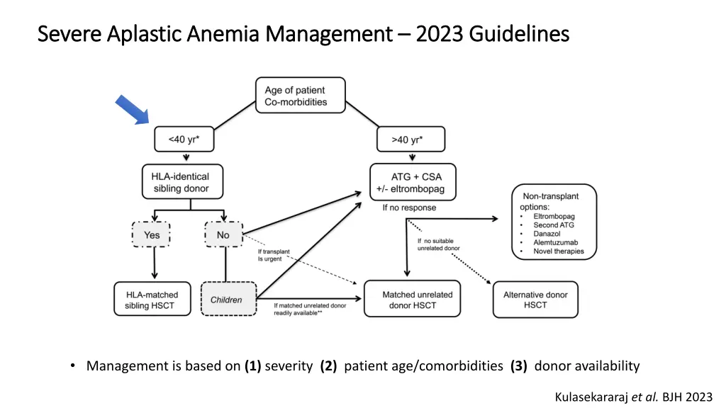 severe aplastic severe aplastic anemia