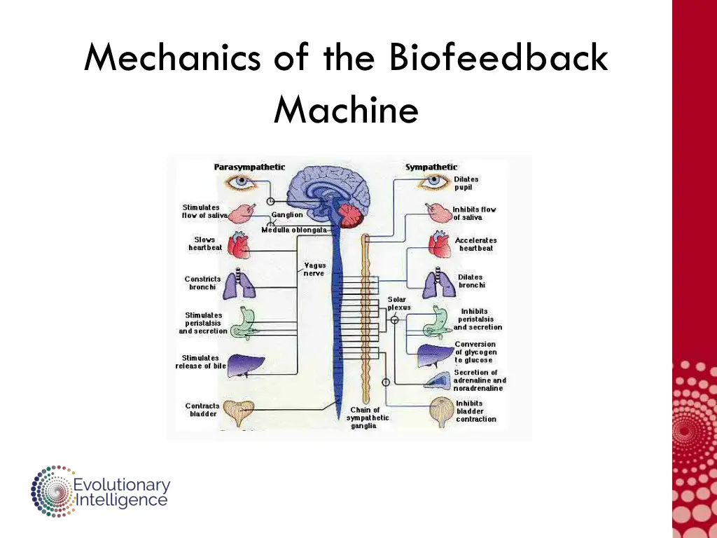 mechanics of the biofeedback machine