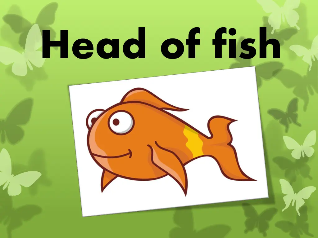 head of fish