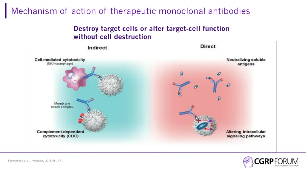 mechanism of action of therapeutic monoclonal