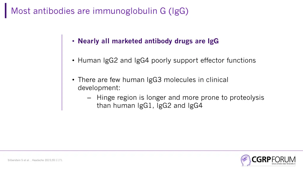 most antibodies are immunoglobulin g igg