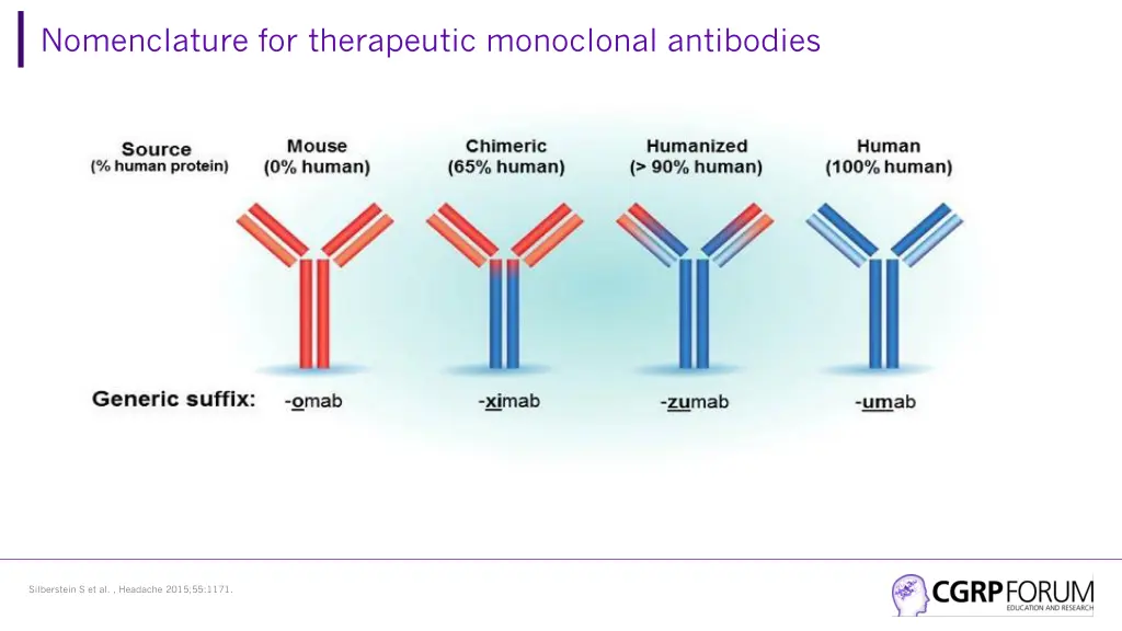 nomenclature for therapeutic monoclonal antibodies