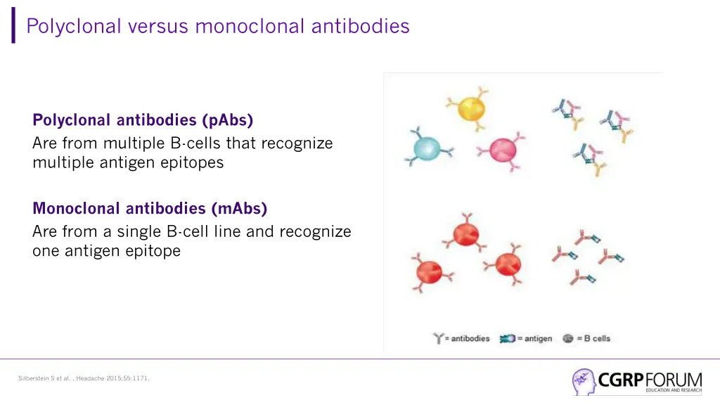polyclonal versus monoclonal antibodies