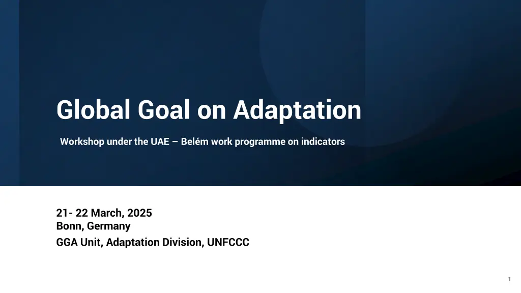 global goal on adaptation