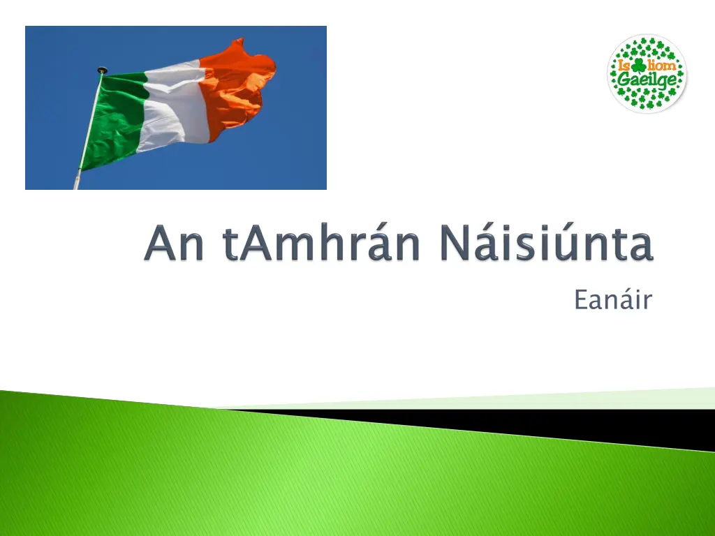 image result for gaeilge