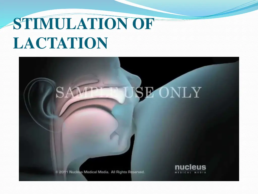stimulation of lactation