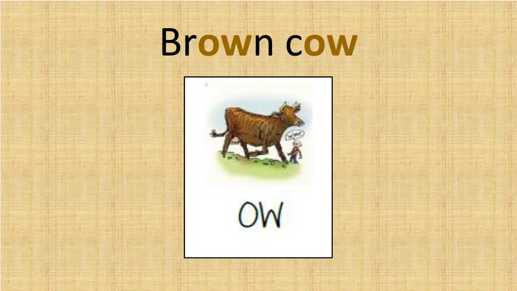 br ow n c ow