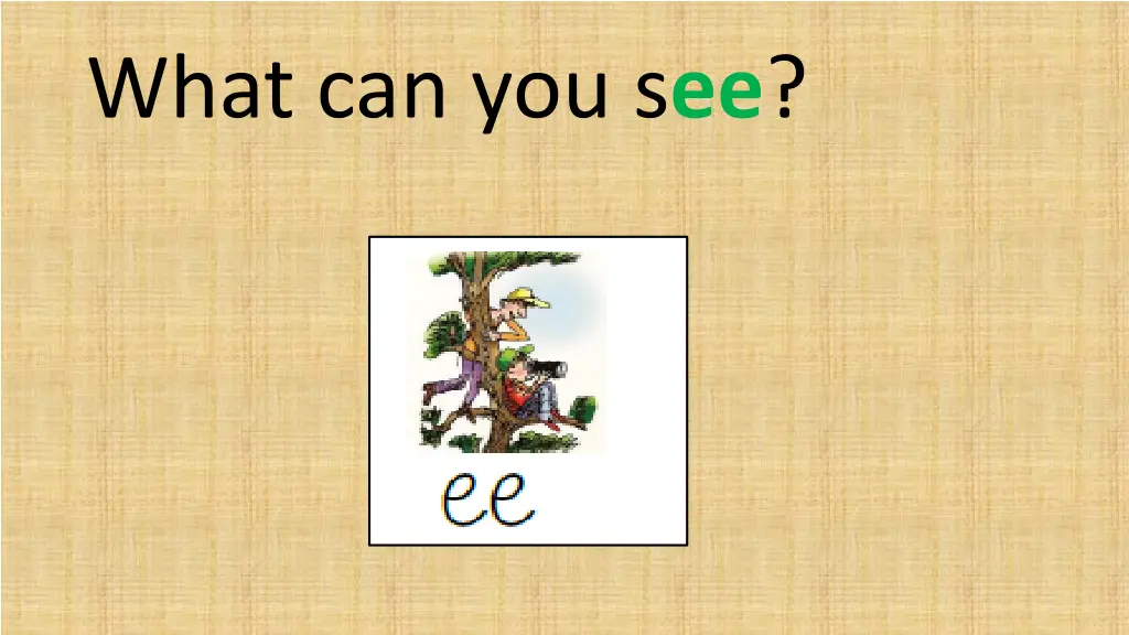 what can you s ee