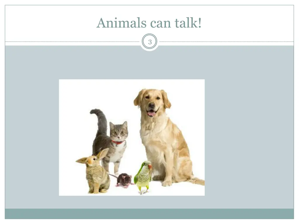 animals can talk