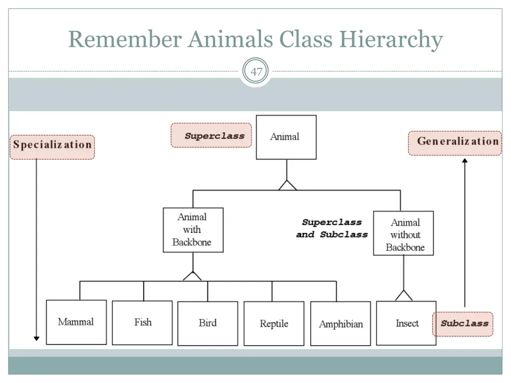 remember animals class hierarchy