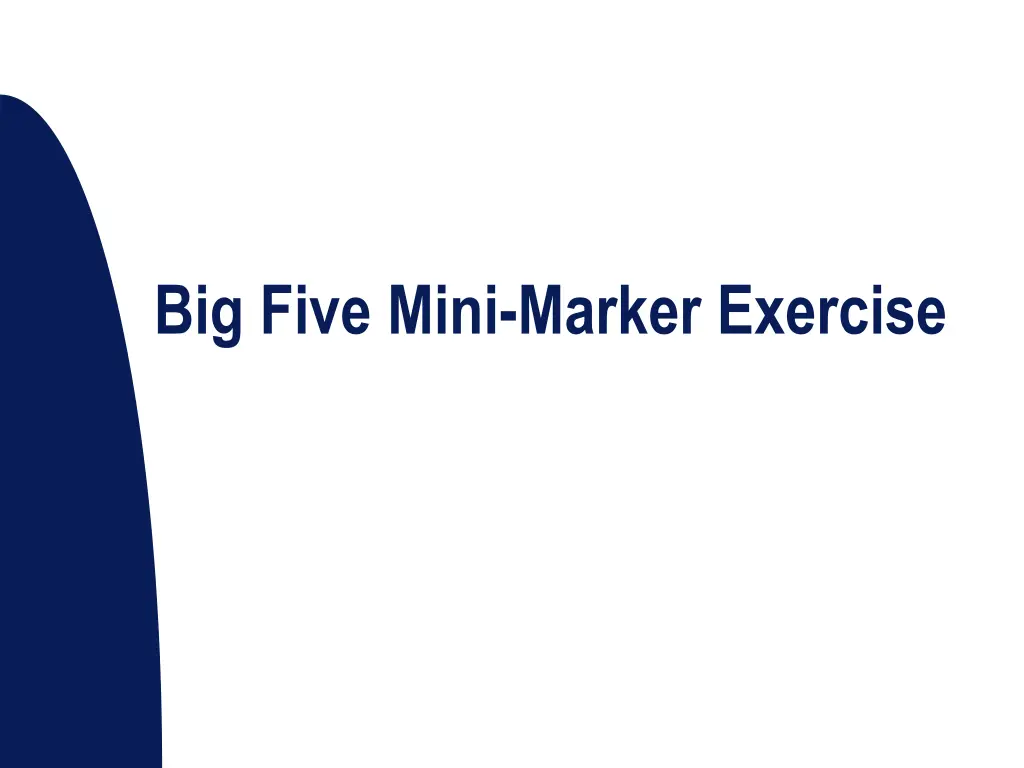 big five mini marker exercise