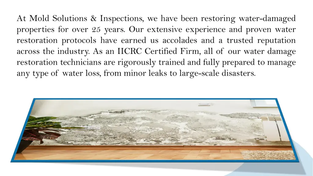 at mold solutions inspections we have been