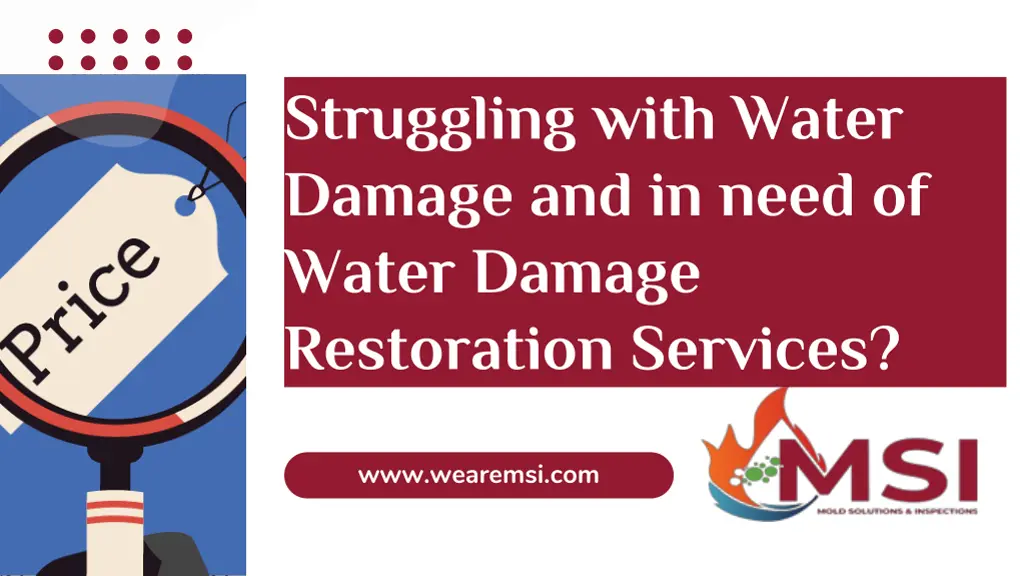 struggling with water damage and in need of water