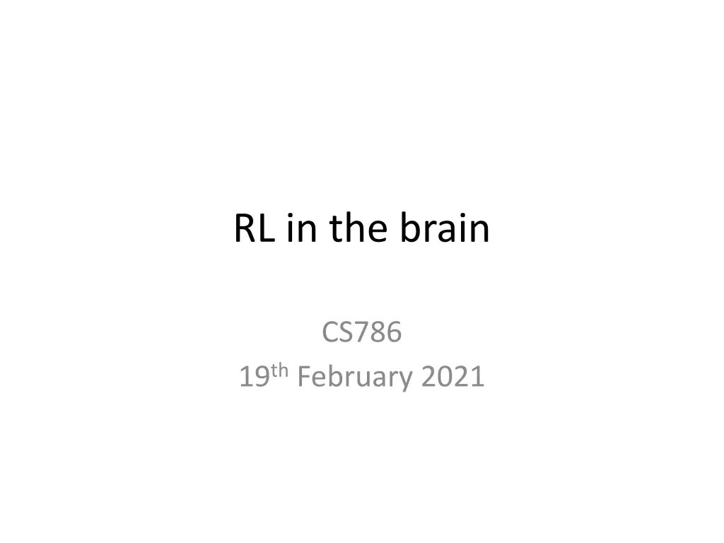 rl in the brain