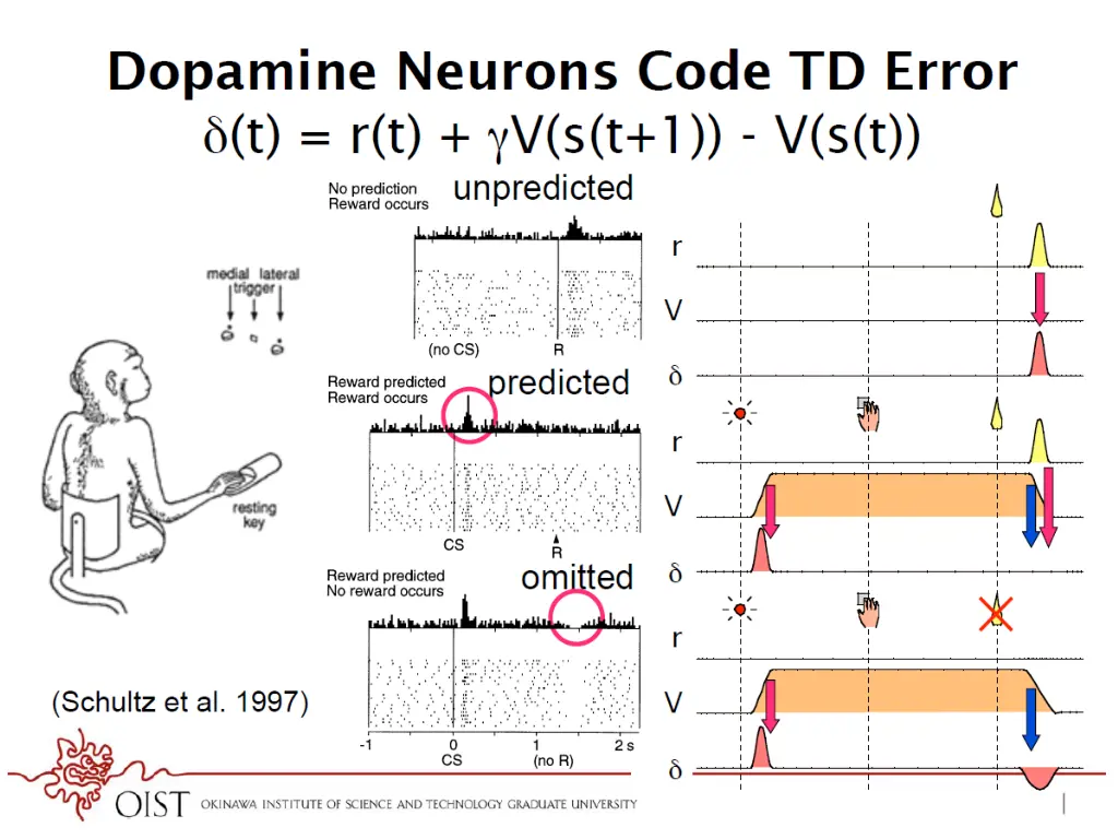 slide13
