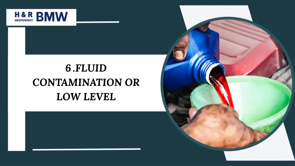 6 fluid
