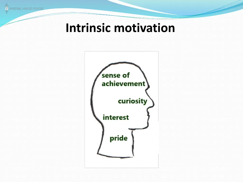 intrinsic motivation