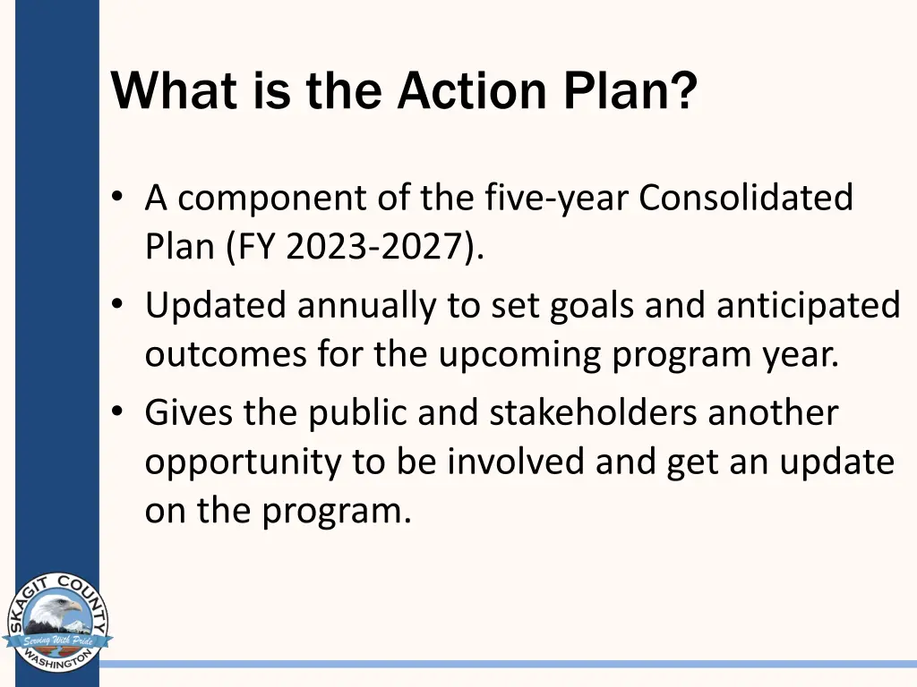 what is the action plan
