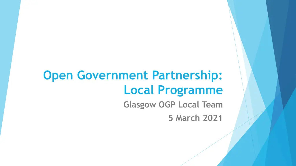 open government partnership local programme
