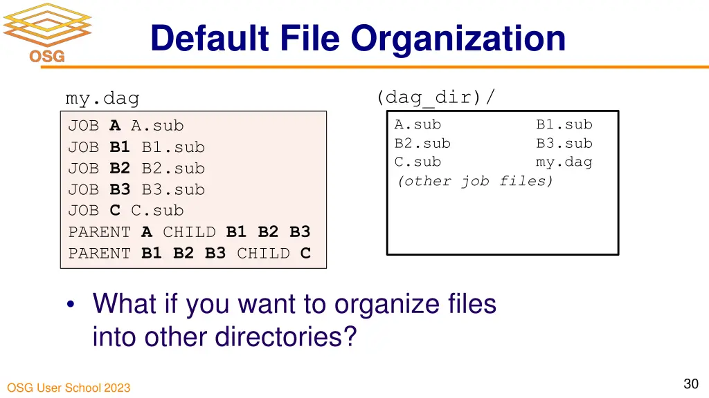 default file organization