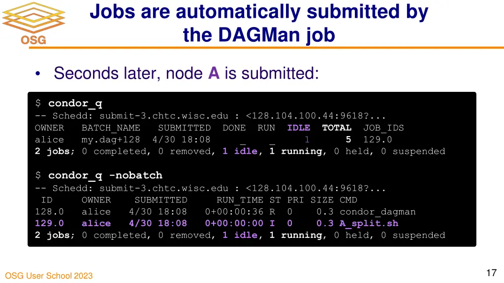 jobs are automatically submitted by the dagman job