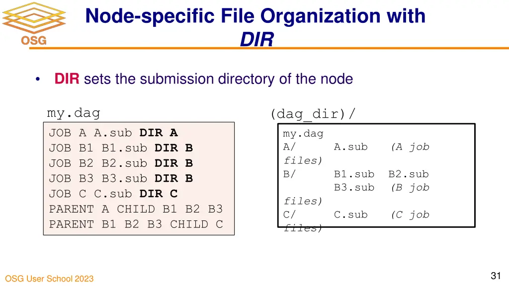 node specific file organization with dir