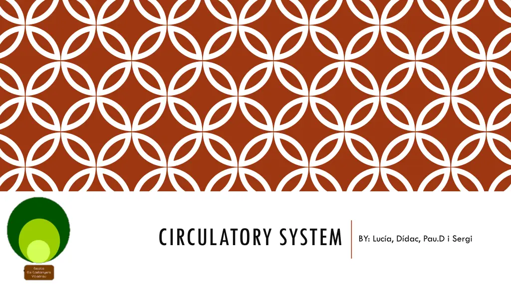 circulatory system